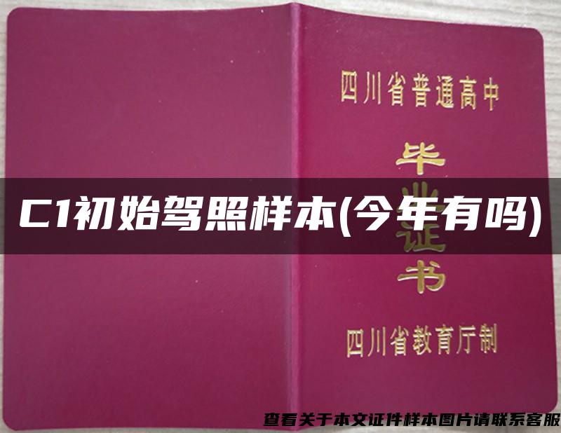 C1初始駕照樣本(今年有嗎)