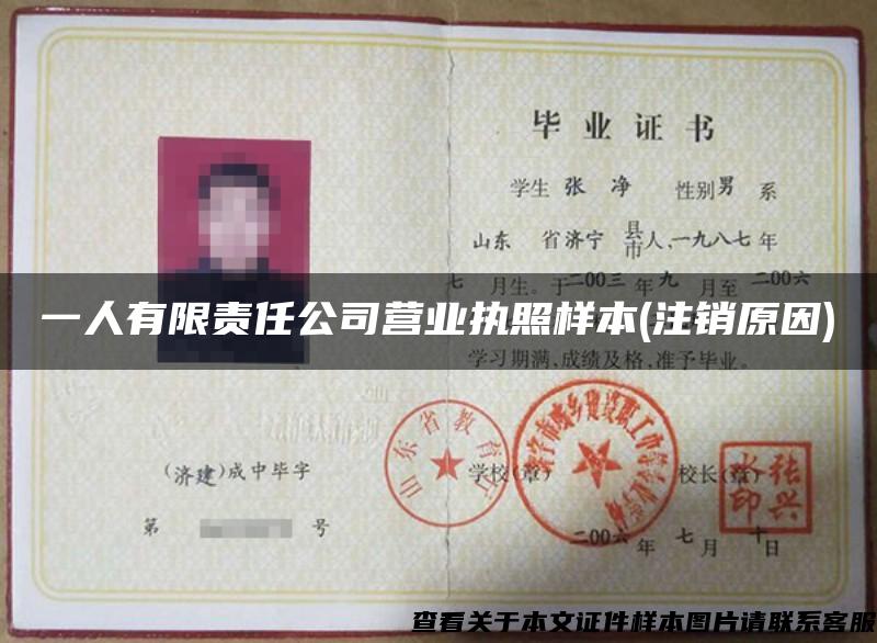 一人有限責任公司營業執照樣本(注銷原因)
