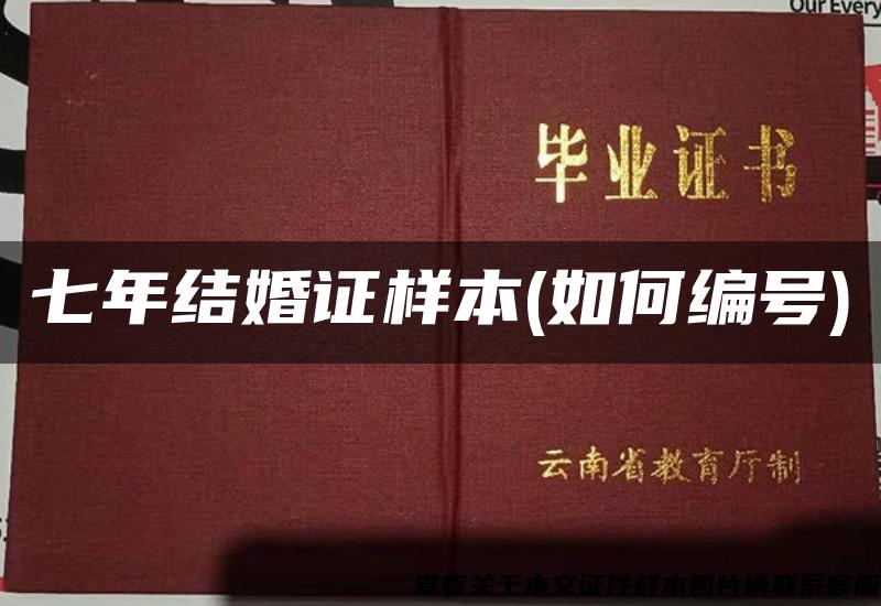 七年結婚證樣本(如何編號)
