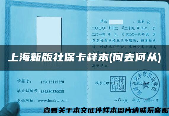 上海新版社?？颖?何去何從)