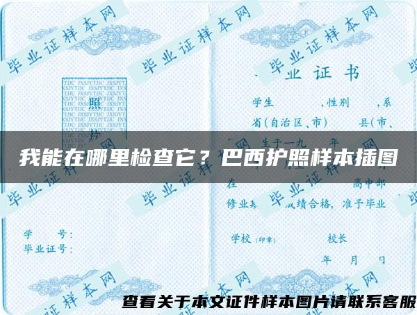 我能在哪里檢查它？巴西護照樣本插圖