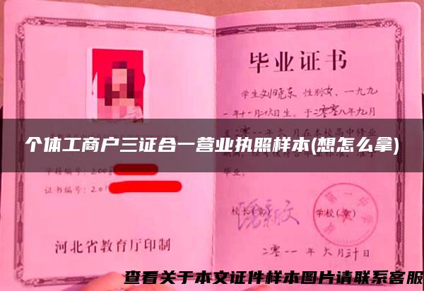 個體工商戶三證合一營業執照樣本(想怎么拿)