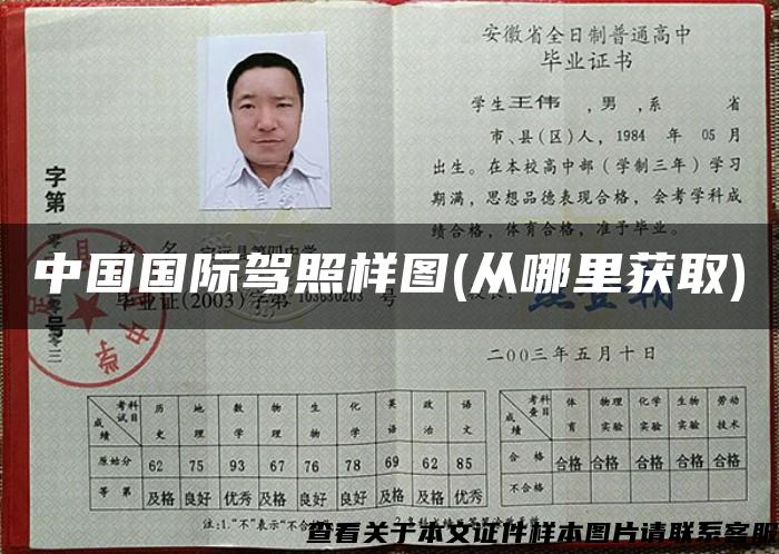 中國國際駕照樣圖(從哪里獲取)