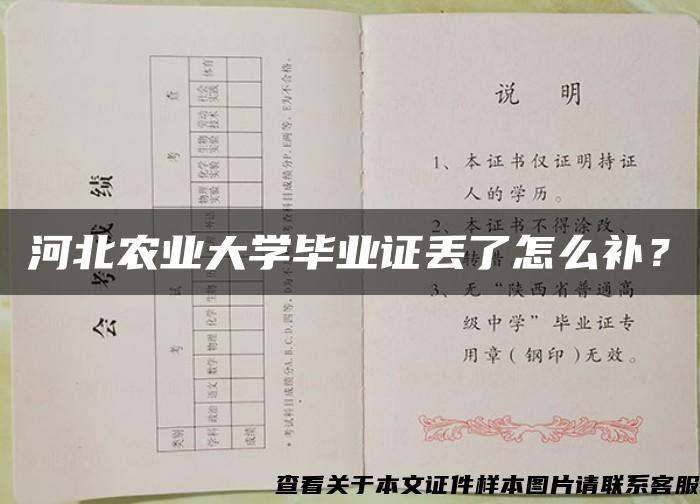 河北農業大學畢業證丟了怎么補？