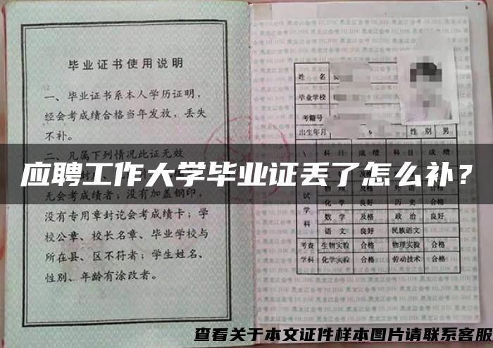 應聘工作大學畢業證丟了怎么補？