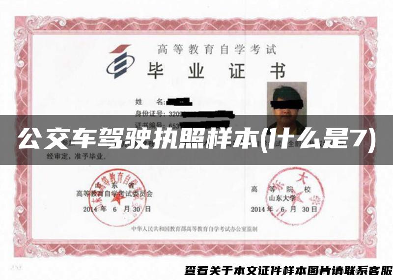 公交車駕駛執照樣本(什么是7)