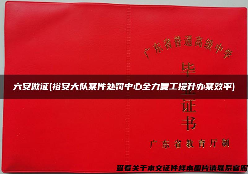 六安做證(裕安大隊案件處罰中心全力復工提升辦案效率)