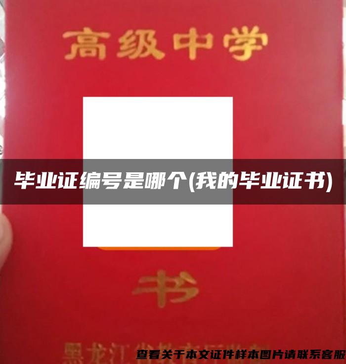畢業證編號是哪個(我的畢業證書)
