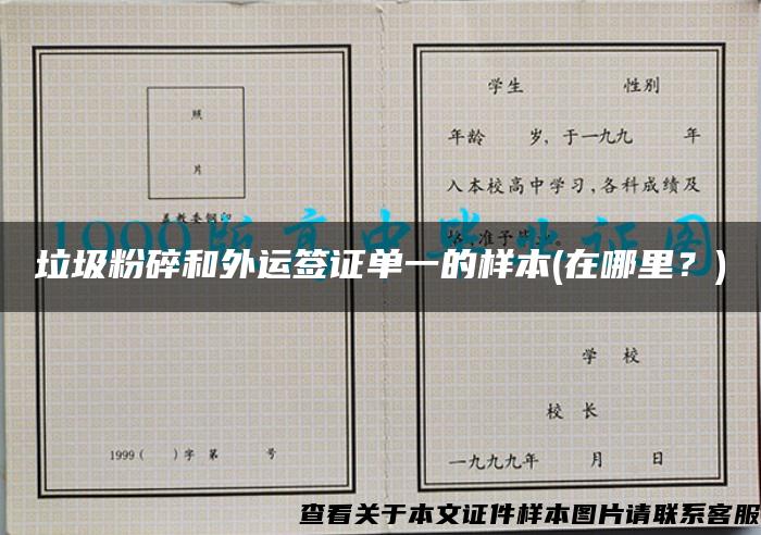 垃圾粉碎和外運簽證單一的樣本(在哪里？)
