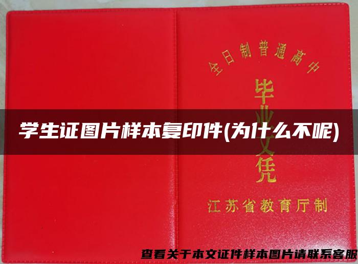 學生證圖片樣本復印件(為什么不呢)