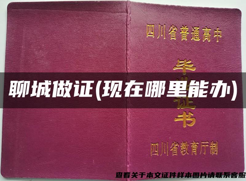 聊城做證(現在哪里能辦)