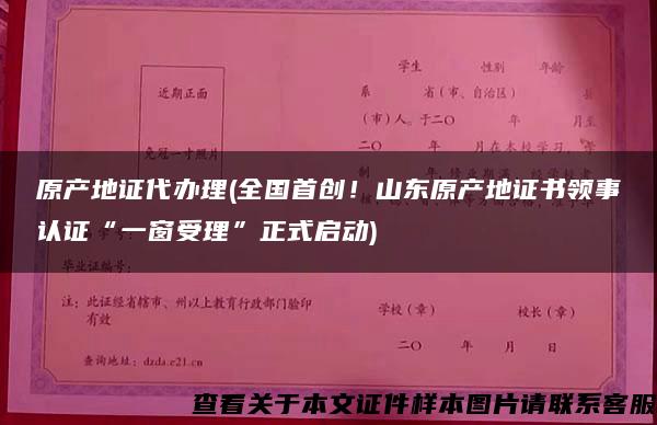 原產地證代辦理(全國首創！山東原產地證書領事認證“一窗受理”正式啟動)