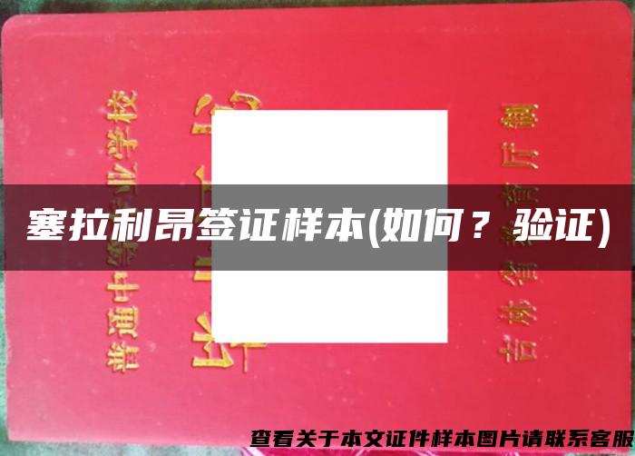 塞拉利昂簽證樣本(如何？驗證)