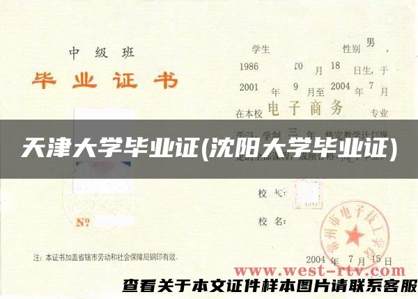 天津大學畢業證(沈陽大學畢業證)
