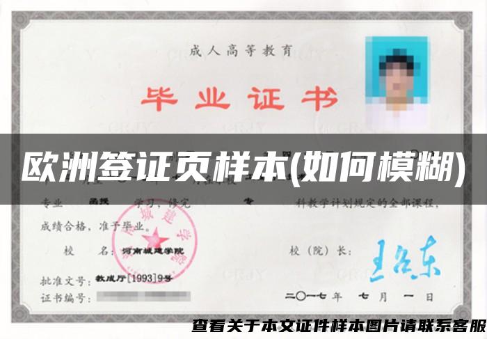 歐洲簽證頁樣本(如何模糊)