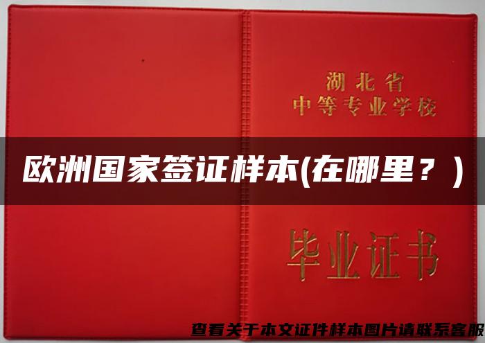 歐洲國家簽證樣本(在哪里？)