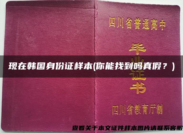 現在韓國身份證樣本(你能找到嗎真假？)