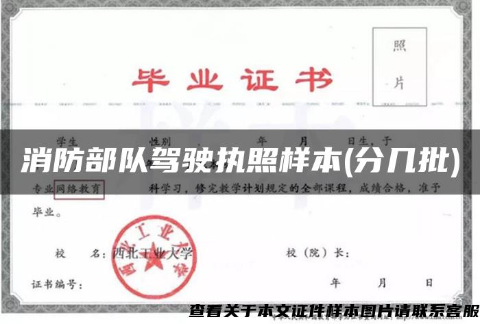 消防部隊駕駛執照樣本(分幾批)