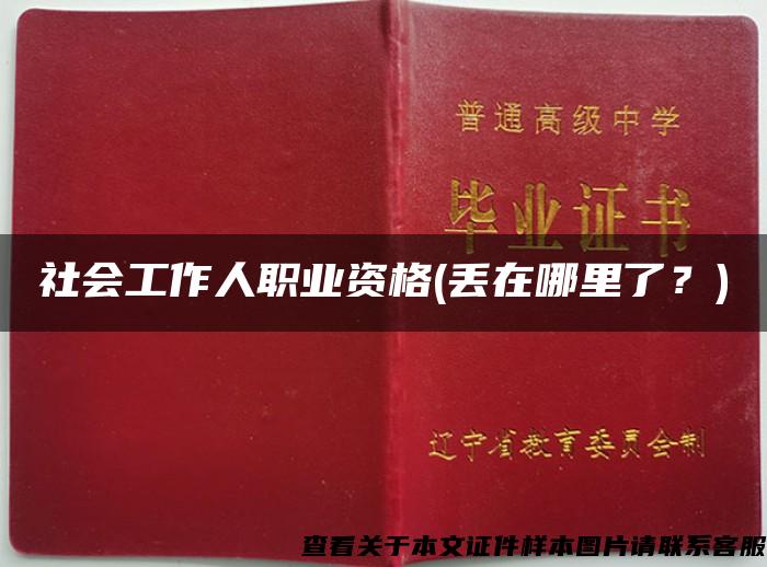 社會工作人職業資格(丟在哪里了？)