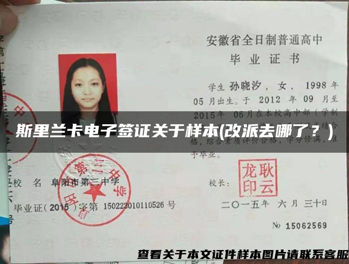 斯里蘭卡電子簽證關于樣本(改派去哪了？)