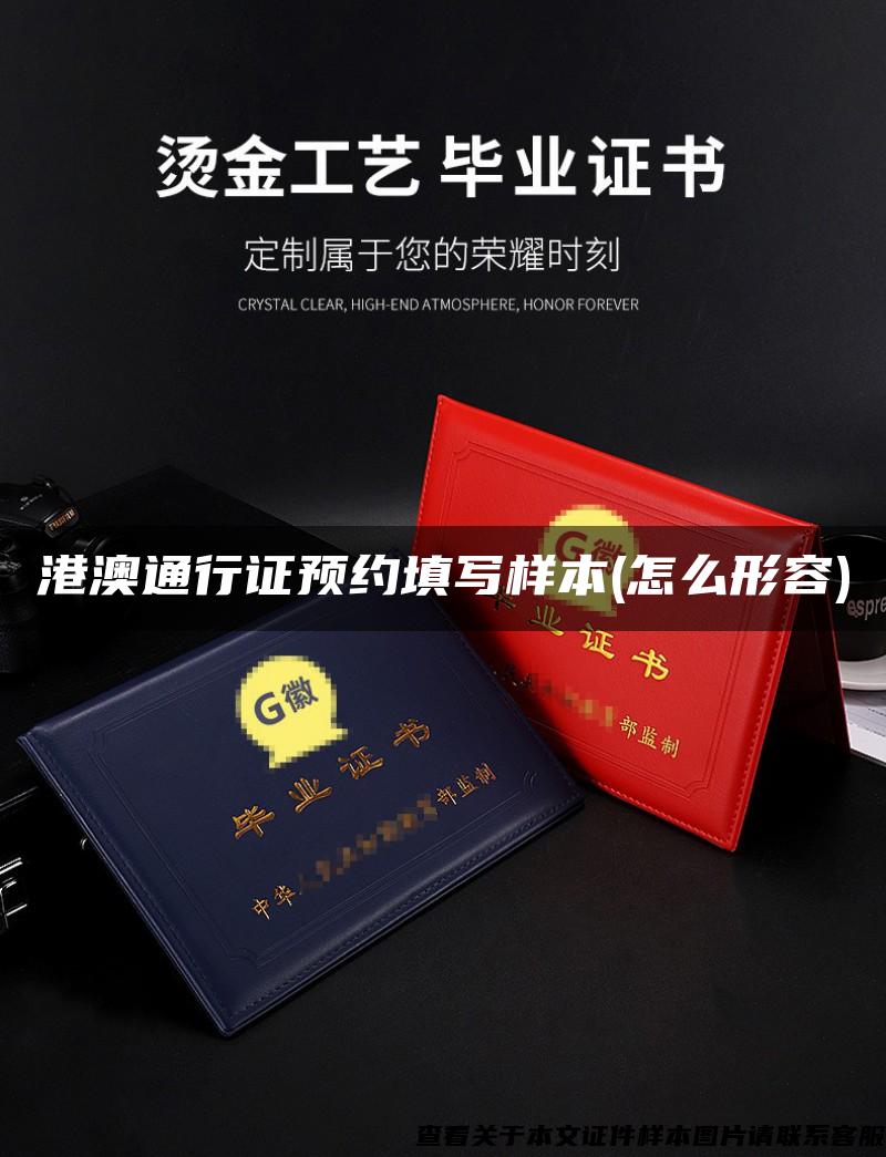 港澳通行證預約填寫樣本(怎么形容)