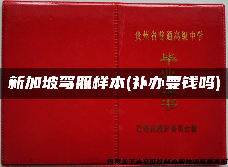 新加坡駕照樣本(補辦要錢嗎)