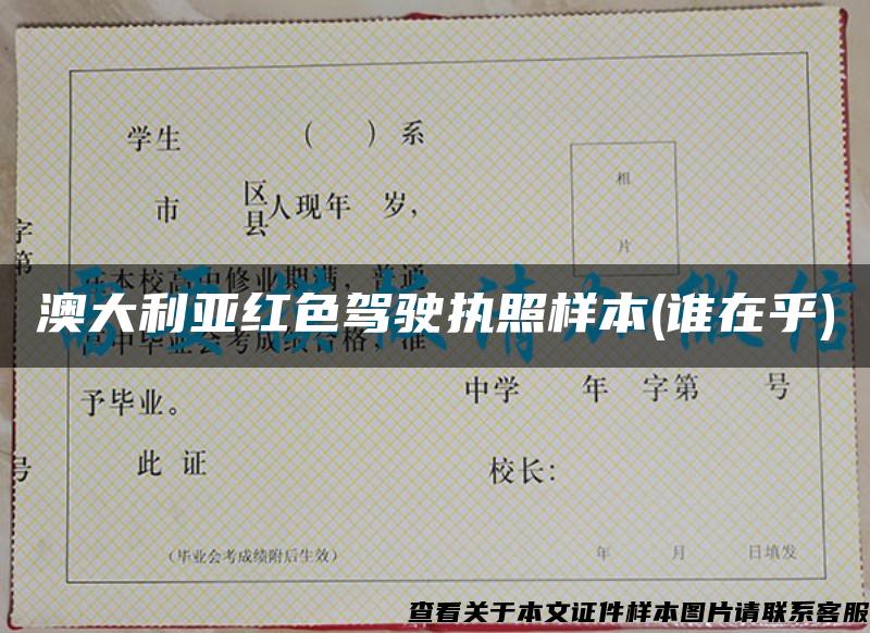 澳大利亞紅色駕駛執照樣本(誰在乎)