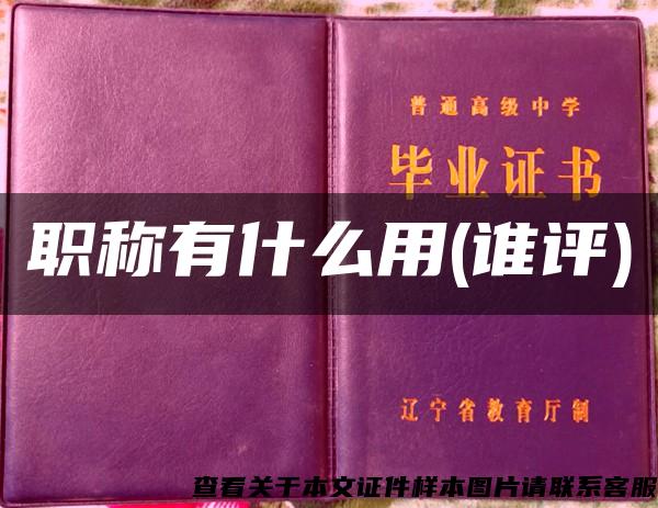 職稱有什么用(誰評)