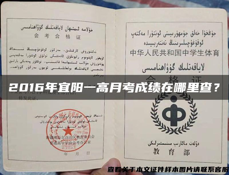 2016年宜陽一高月考成績在哪里查？