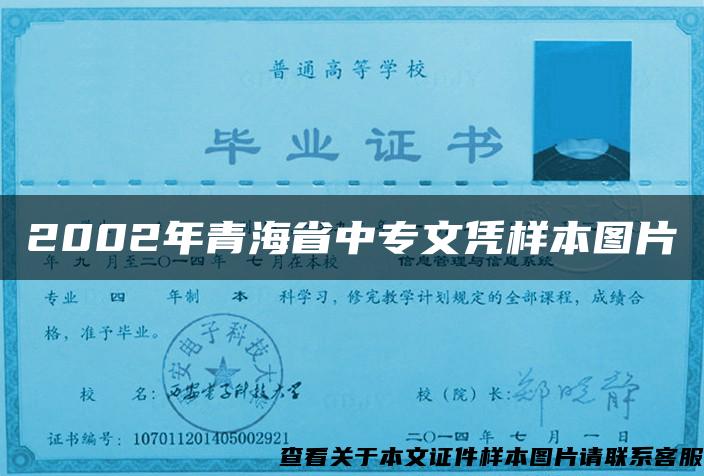 2002年青海省中專文憑樣本圖片