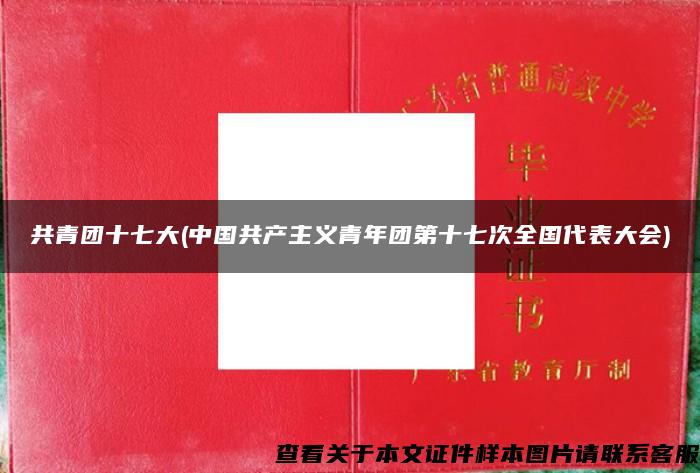 共青團十七大(中國共產主義青年團第十七次全國代表大會)