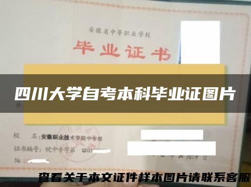 四川大學自考本科畢業證圖片