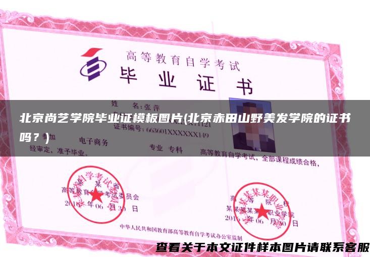 北京尚藝學院畢業證模板圖片(北京赤田山野美發學院的證書嗎？)