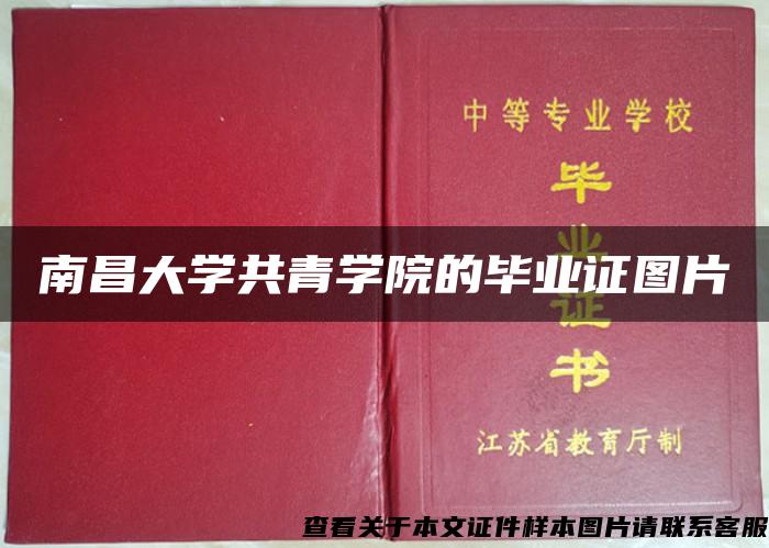 南昌大學共青學院的畢業證圖片