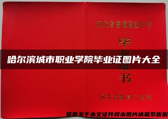 哈爾濱城市職業學院畢業證圖片大全