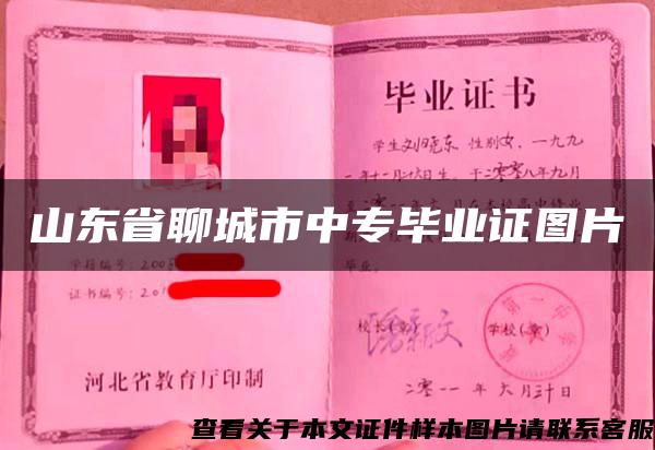 山東省聊城市中專畢業證圖片