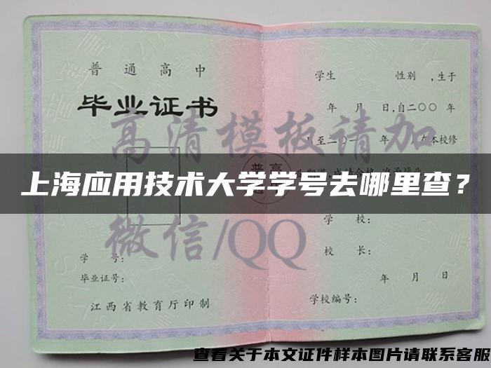 上海應用技術大學學號去哪里查？