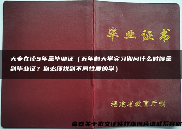 大專在讀5年拿畢業證（五年制大學實習期間什么時候拿到畢業證？你必須找到不同性質的學）