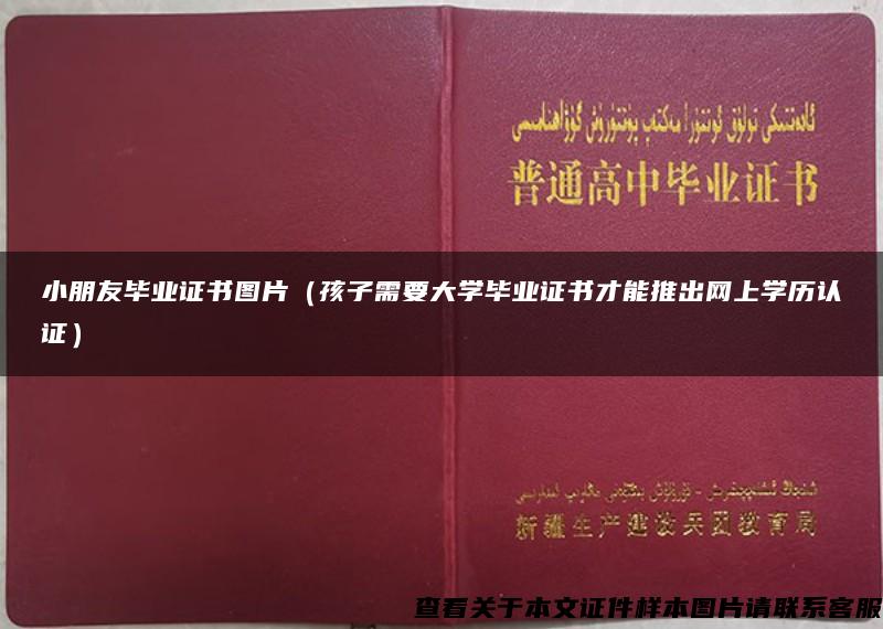小朋友畢業證書圖片（孩子需要大學畢業證書才能推出網上學歷認證）