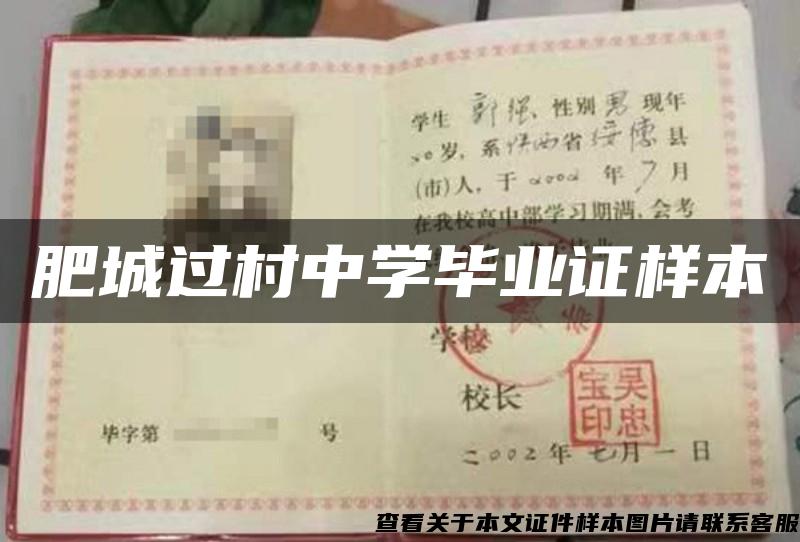 肥城過村中學畢業證樣本