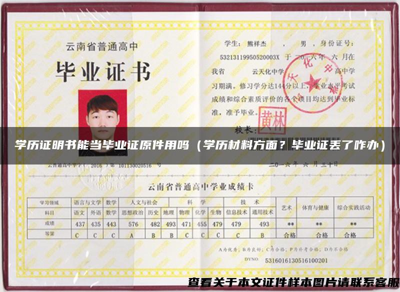 學歷證明書能當畢業證原件用嗎（學歷材料方面？畢業證丟了咋辦）