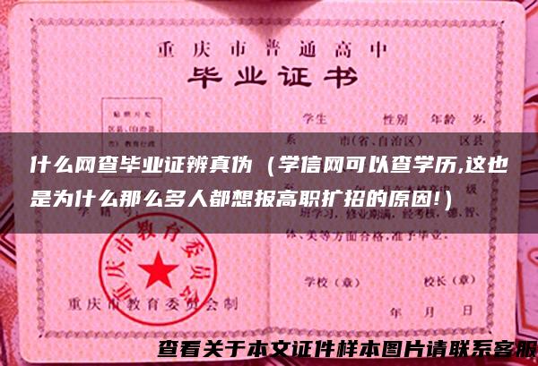 什么網查畢業證辨真偽（學信網可以查學歷,這也是為什么那么多人都想報高職擴招的原因!）