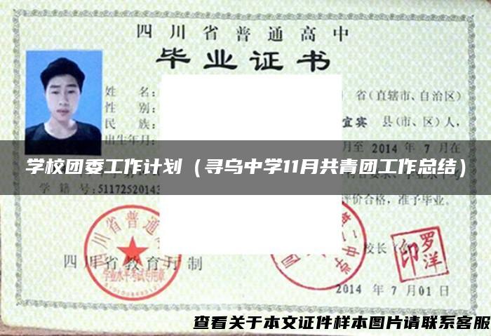 學校團委工作計劃（尋烏中學11月共青團工作總結）