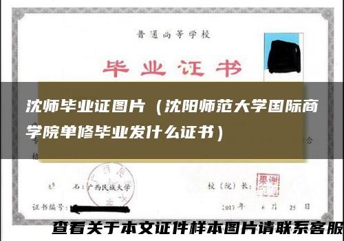 沈師畢業證圖片（沈陽師范大學國際商學院單修畢業發什么證書）