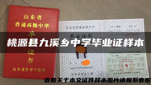 桃源縣九溪鄉中學畢業證樣本