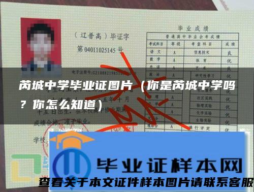 芮城中學畢業證圖片（你是芮城中學嗎？你怎么知道）