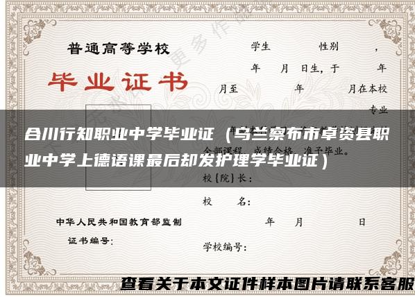 合川行知職業中學畢業證（烏蘭察布市卓資縣職業中學上德語課最后卻發護理學畢業證）