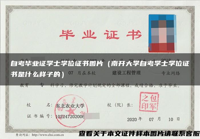 自考畢業證學士學位證書圖片（南開大學自考學士學位證書是什么樣子的）