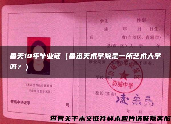 魯美19年畢業證（魯迅美術學院是一所藝術大學嗎？）