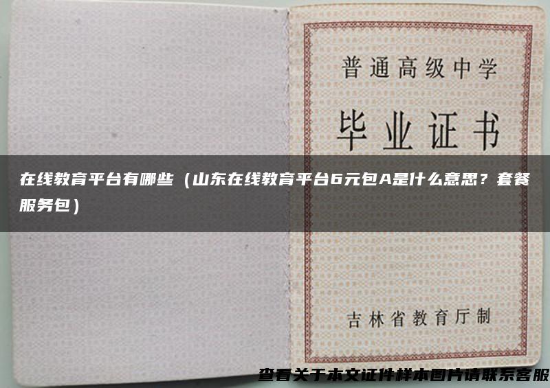 在線教育平臺有哪些（山東在線教育平臺6元包A是什么意思？套餐服務包）